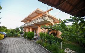 Apartment Darlin Berat